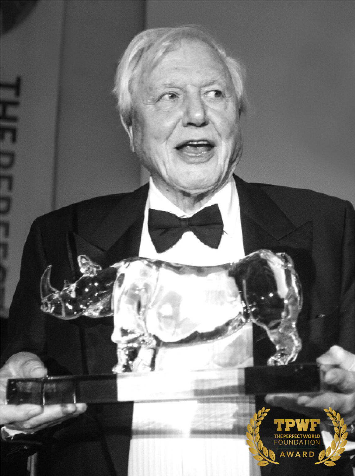 Sir David Attenborough The Perfect World Foundation Award Sir David Attenborough The Perfect World Foundation Award