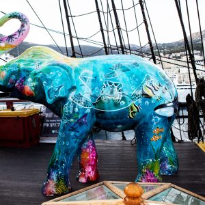 "Ocean Hope" The Elephant
Monaco 5 oct 2022
©Photo: Lelle Sparringsjö/Sweden