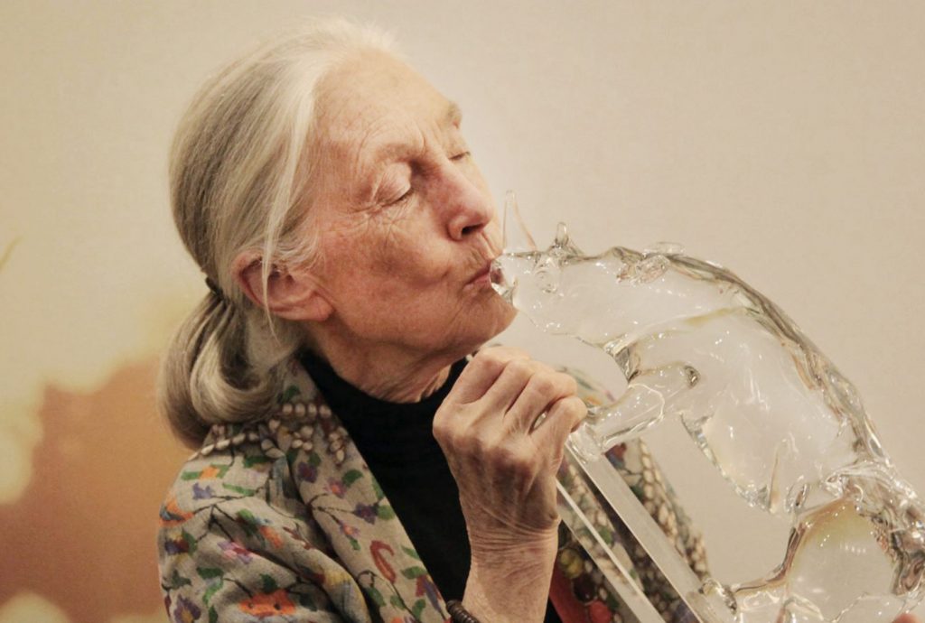 jane-goodall-scaled